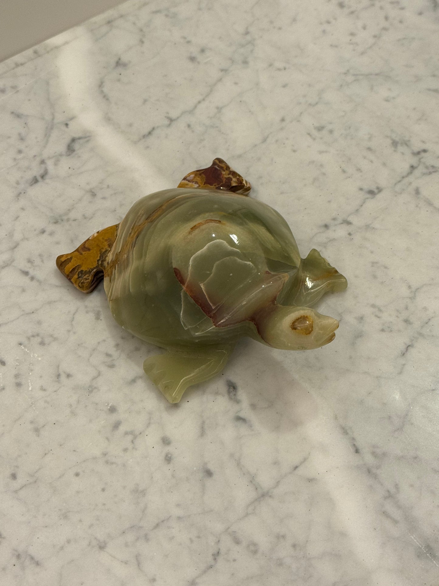 Pakistan onyx turtle