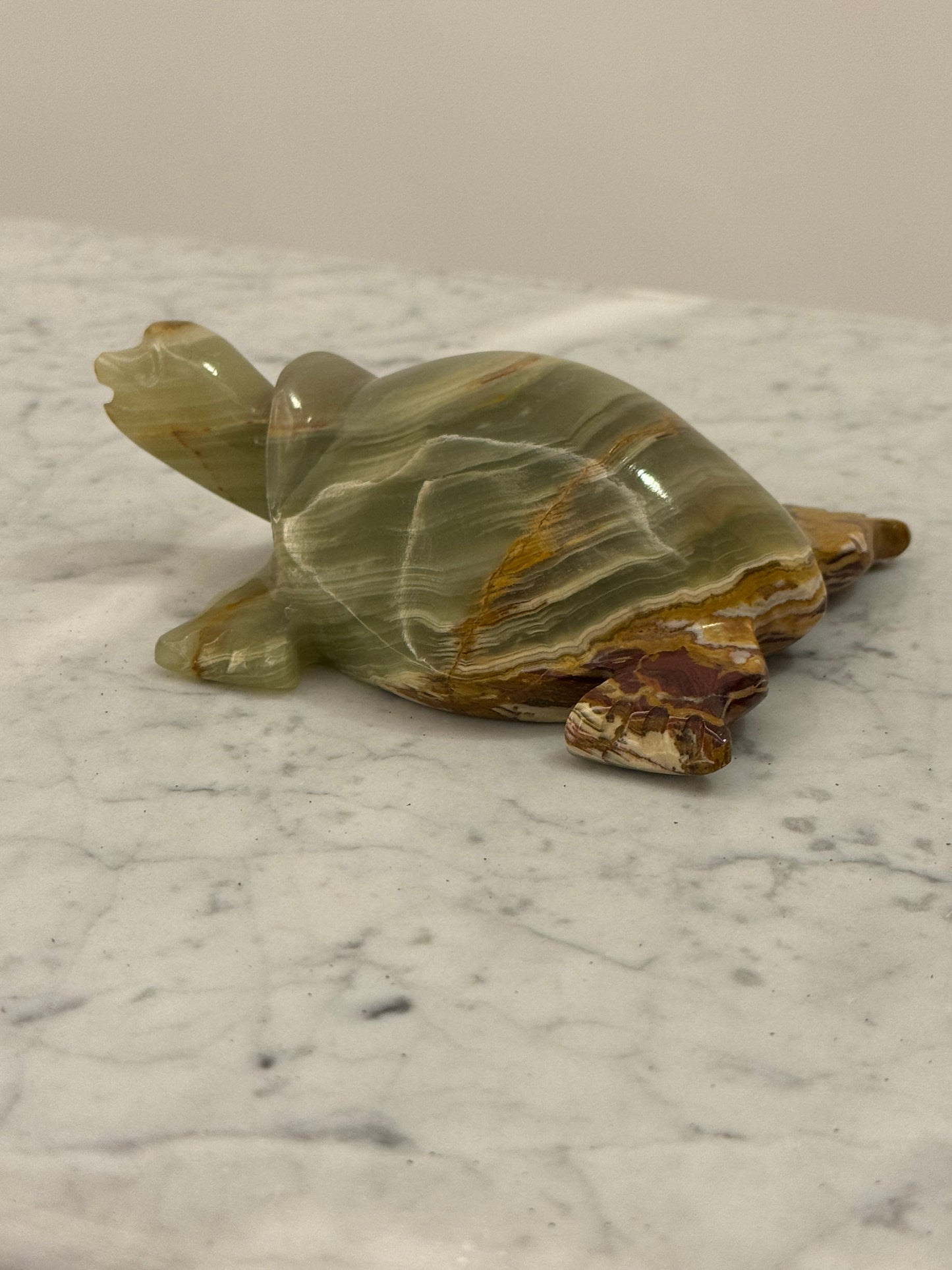 Pakistan onyx turtle